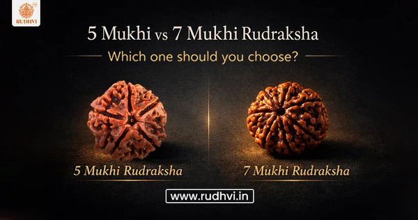 Mukhi vs 7 Mukhi Rudraksha – which one should you choose