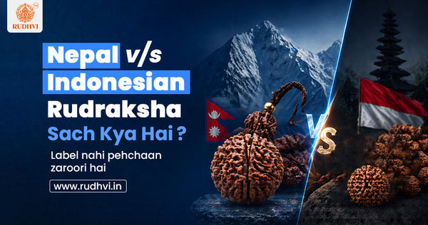 nepal vs indonesian rudraksha difference original vs fake rudraksha guide rudhvi