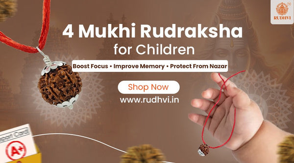 1. 4 Mukhi Nepali Rudraksha for Study Focus