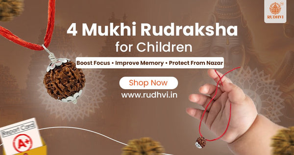 1. 4 Mukhi Nepali Rudraksha for Study Focus