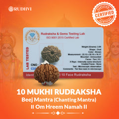 10 Mukhi Nepali Rudraksha Lab Tested Authenticity Certificate