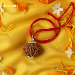 10 Mukhi Nepali  Rudraksha – Powerful Protection & Negative Energy Shield
