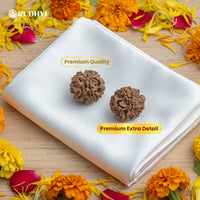 1 Mukhi Rudraksha (Nepali) – 100% Natural & Lab Certified | Symbol of Lord Shiva