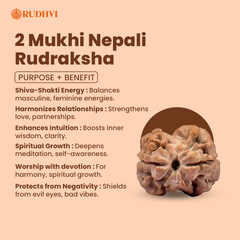 2 Mukhi Nepali Rudraksha (Nepal Origin) – Original & Lab Certified | Rudhvi