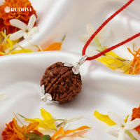 3 Mukhi Nepali Rudraksha – Fire Element Bead for Energy, Creativity & Emotional Balance