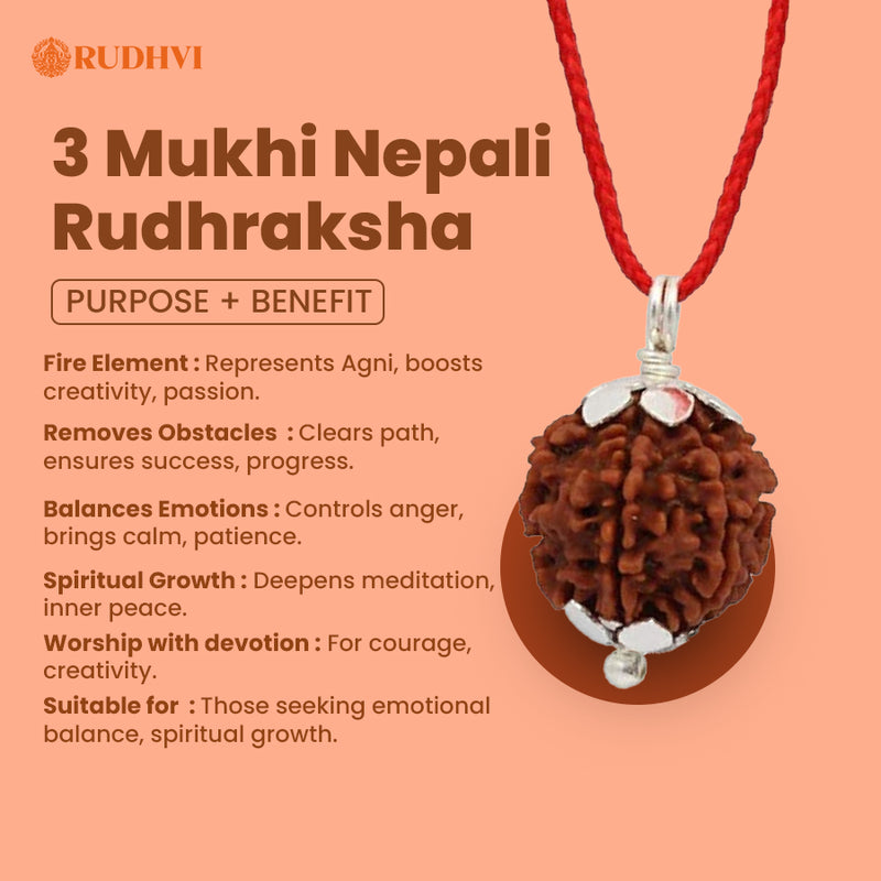 3 Mukhi Nepali Rudraksha – Fire Element Bead for Energy, Creativity & Emotional Balance
