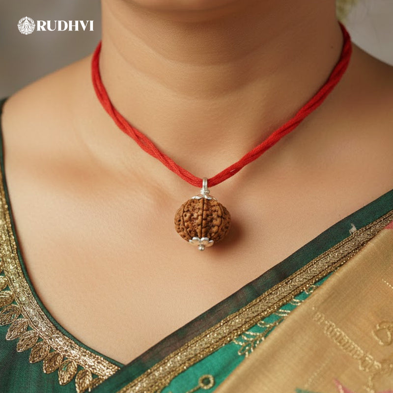 3 Mukhi Nepali Rudraksha – Fire Element Bead for Energy, Creativity & Emotional Balance