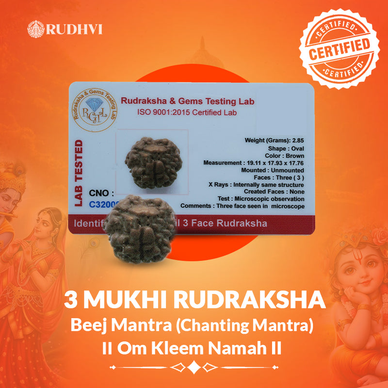 3 Mukhi Nepali Rudraksha – Fire Element Bead for Energy, Creativity & Emotional Balance