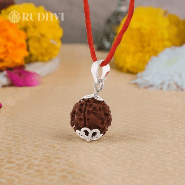 Original 4 Mukhi Nepali Rudraksha for Children and Students