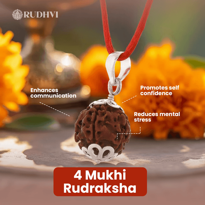 Lab Certified 4 Mukhi Rudraksha for Memory and Focus