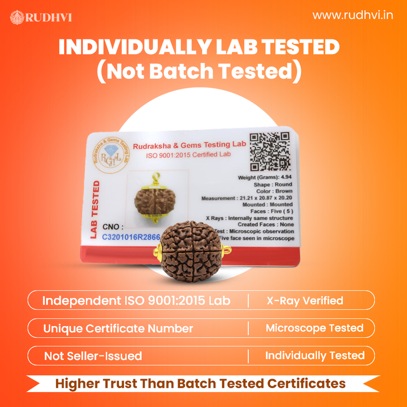  5 mukhi Rudraksha bead with a lab testing certificate on an orange background, featuring Rudhvi branding.