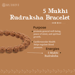 Adjustable Elastic 5 Mukhi Rudraksha Bracelet for Daily Wear – Peace, Focus and Positivity.