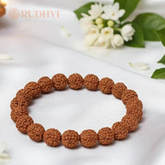 5 Mukhi Rudraksha Bracelet close up shot