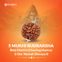 5 Mukhi Nepali Rudraksha – Lab Certified & Powerful  l Rudhvi