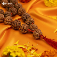 5 Mukhi Nepali Rudraksha Mala (54+1 Beads) – Sacred to Lord Shiva, Associated with Jupiter (Guru) Energy