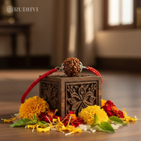 6 Mukhi Nepali Rudraksha pendant energized by RUDHVI for wisdom and leadership