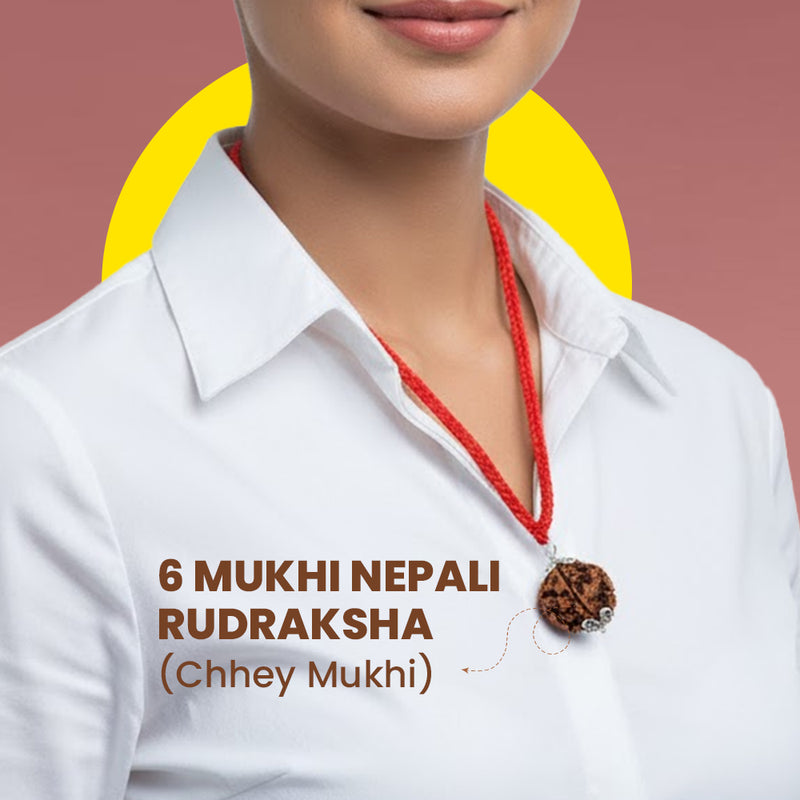 6 Mukhi Nepali Rudraksha worn for wisdom willpower and leadership growth