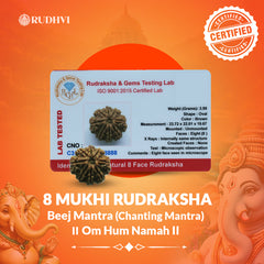 8  Mukhi Nepali Rudraksha Lab Tested Authenticity Certificate