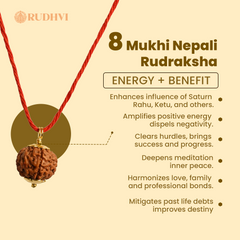 8 Mukhi Nepali Rudraksha |  One Bead. One Certificate. | Rudhvi