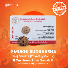 9 Mukhi Nepali Rudraksha Lab Tested Authenticity Certificate