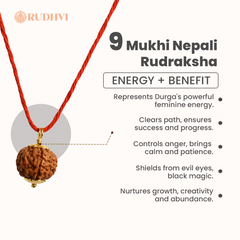 9 Mukhi Nepali Rudraksha | One Bead. One Certificate| Rudhvi