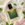 Summer Aura Perfume for Freshness & Calm | Cooling Fragrance – Rudhvi