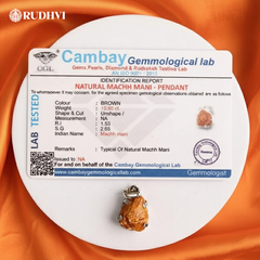 Rudhvi Matsya Mani Divine Prosperity & Protection Pendant