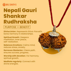 Nepali Gauri Shankar Rudraksha – Divine Union Bead for Harmony, Love & Spiritual Growth