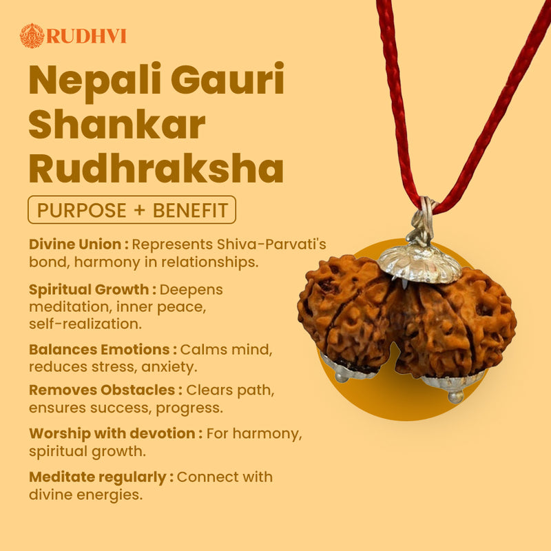 Nepali Gauri Shankar Rudraksha – Divine Union Bead for Harmony, Love & Spiritual Growth