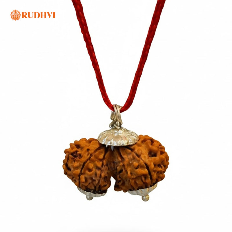Nepali Gauri Shankar Rudraksha – Divine Union Bead for Harmony, Love & Spiritual Growth