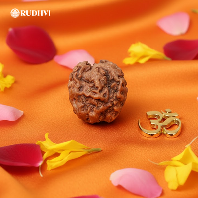 Nepali OM Rudraksha (Nepal Origin) – Sacred Shiva Energy Bead | Certified | Rudhvi