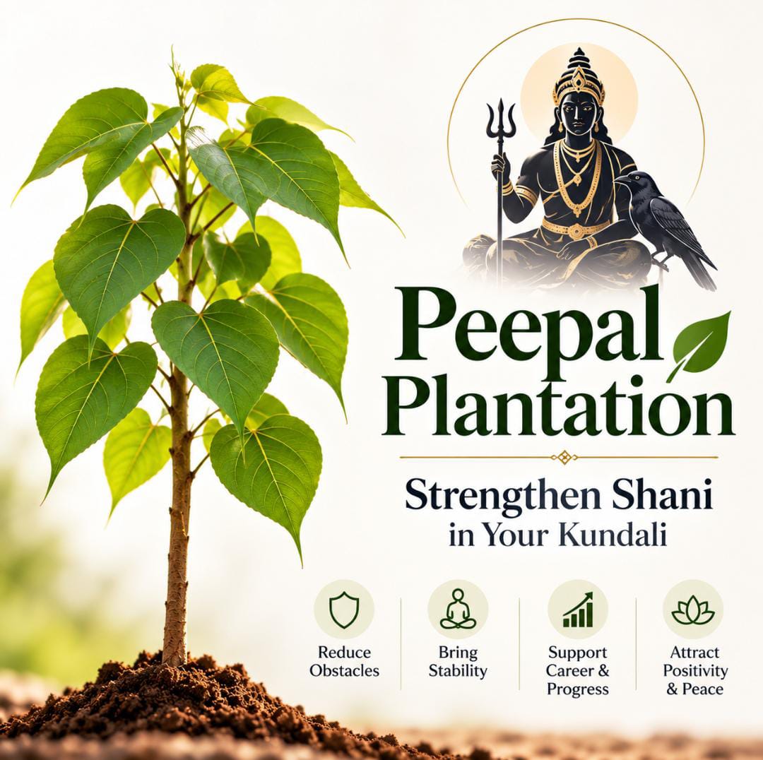 Peepal Plantation