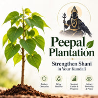 Peepal Plantation