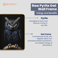 Raw Pyrite Owl Wall Frame – Wisdom, Wealth & Protection | Rudhvi™