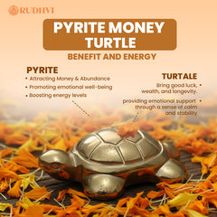 Pyrite Money Turtle – Wealth, Good Luck & Prosperity Symbol | Rudhvi