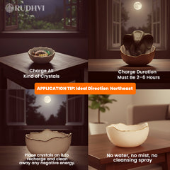 Pyrite Ganesh with Selenite Money Bowl – Wealth, Prosperity & Energy Cleanser | Rudhvi