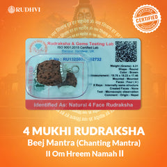 4 Mukhi Nepali Rudraksha Lab Tested Authenticity Certificate