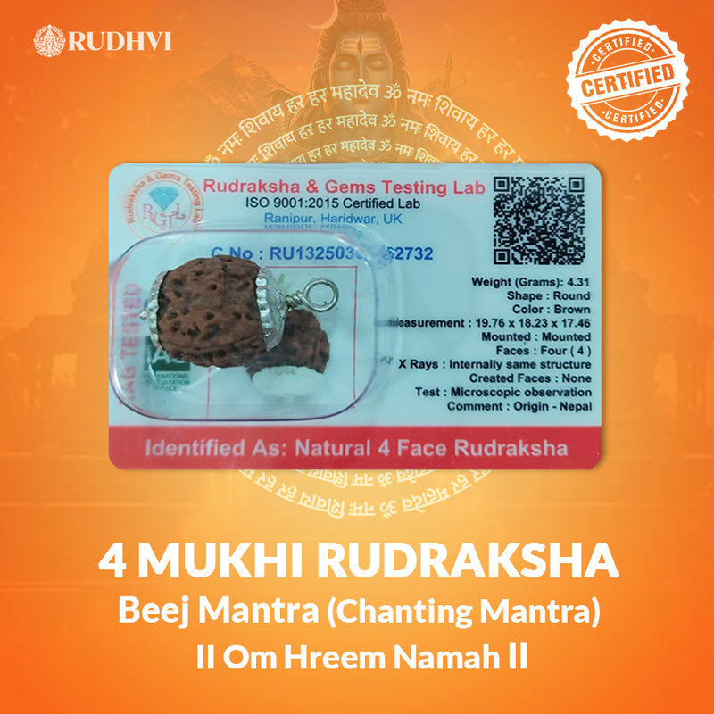 4 Mukhi Nepali Rudraksha Lab Tested Authenticity Certificate
