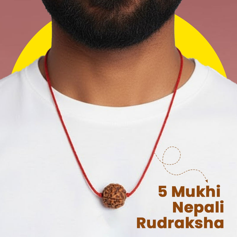 Person wearing 5 mukhi nepali rudraksha -Rudhvi