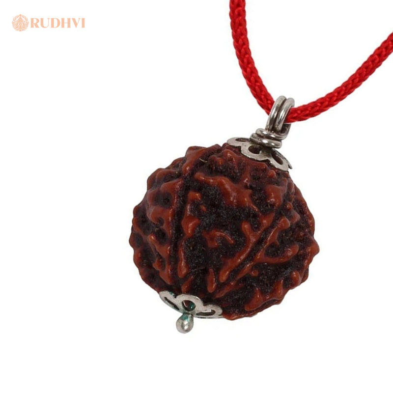 5 mukhi nepali  rudraksha on a red string with 'RUDHVI' branding- Rudhvi