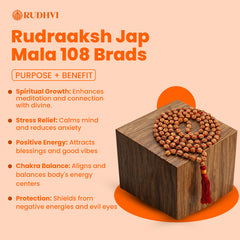 Rudraksha Jap Mala 108 Beads for Meditation, Peace & Spiritual Growth