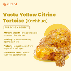 Vastu Yellow Citrine Tortoise (Kachhua) for Wealth, Stability & Protection | Rudhvi