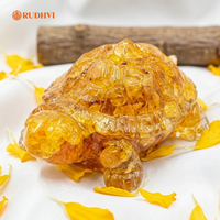 Vastu Yellow Citrine Tortoise (Kachhua) for Wealth, Stability & Protection | Rudhvi