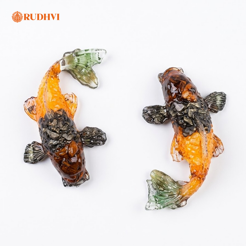 Vastu Dhan Yog Fish Pair for Wealth, Prosperity & Good Luck
