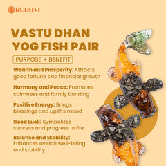 Vastu Dhan Yog Fish Pair for Wealth, Prosperity & Good Luck
