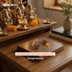 Vastu Dhan Yog Fish Pair for Wealth, Prosperity & Good Luck