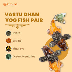 Vastu Dhan Yog Fish Pair for Wealth, Prosperity & Good Luck