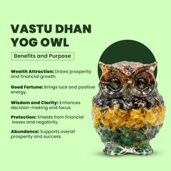 Vastu Dhan Yog Owl – Wealth Attraction & Prosperity Crystal Owl for Home & Office