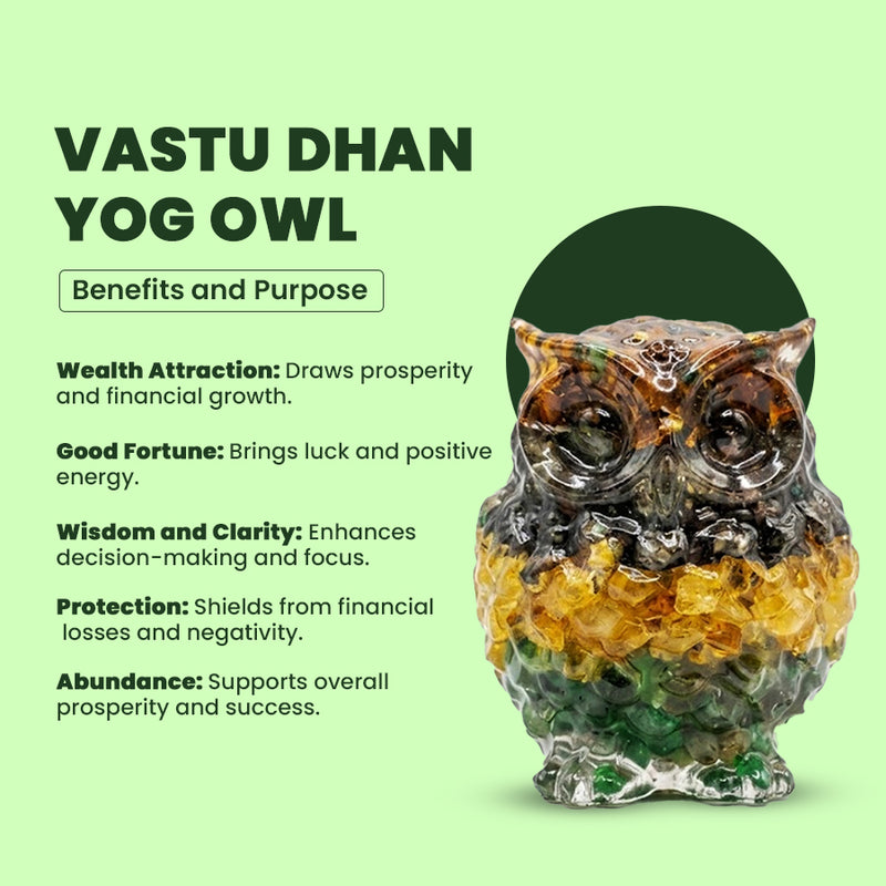 Vastu Dhan Yog Owl – Wealth Attraction & Prosperity Crystal Owl for Home & Office