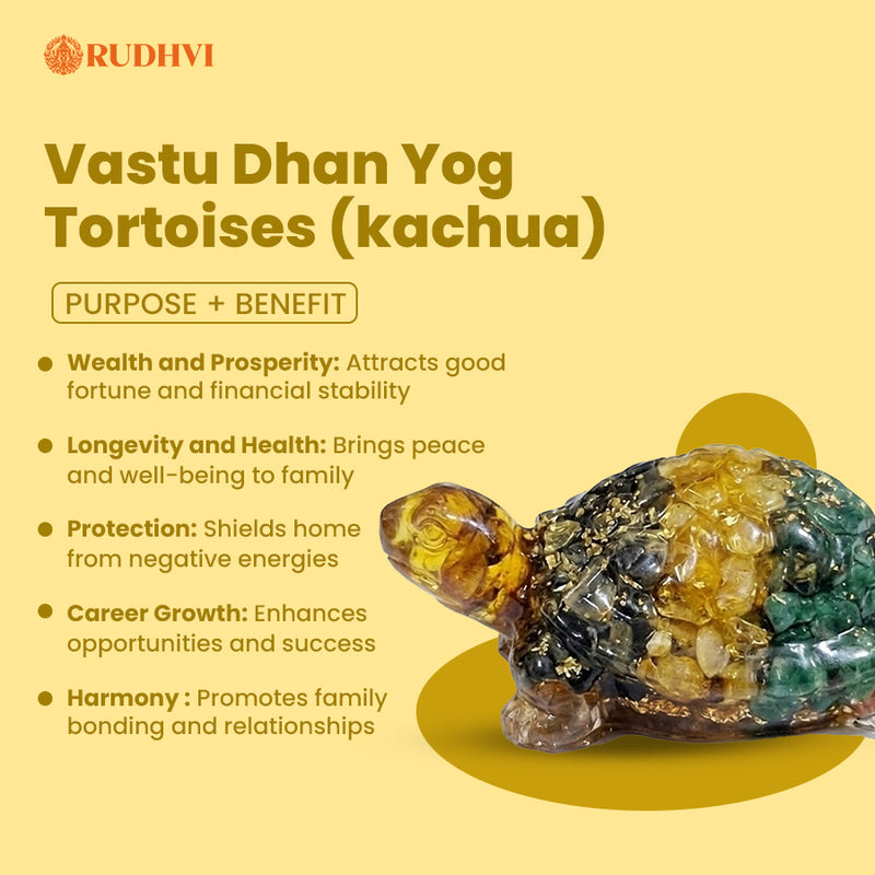 Vastu Dhan Yog Tortoise (Kachua) for Wealth, Prosperity & Protection